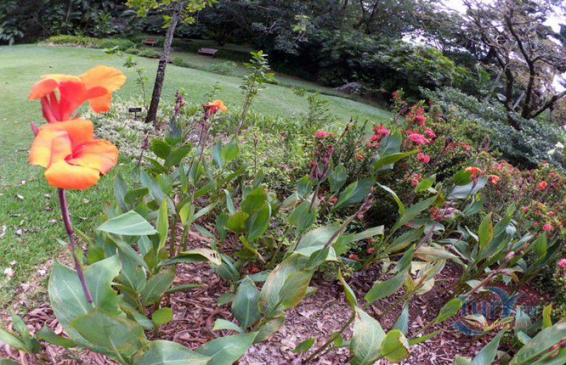 Национальный Ботанический Сад Сейшельских Островов