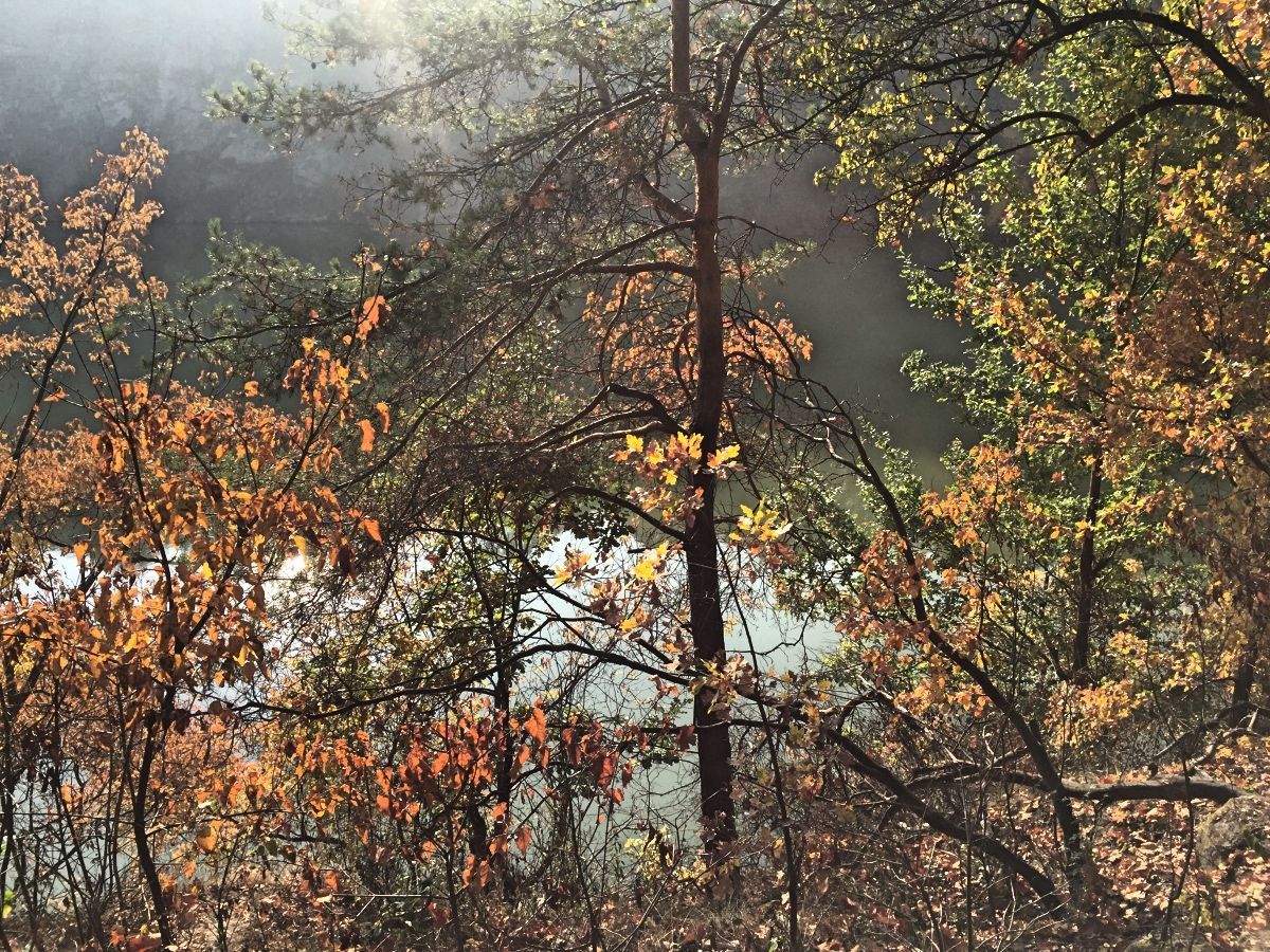 Река Тетерев