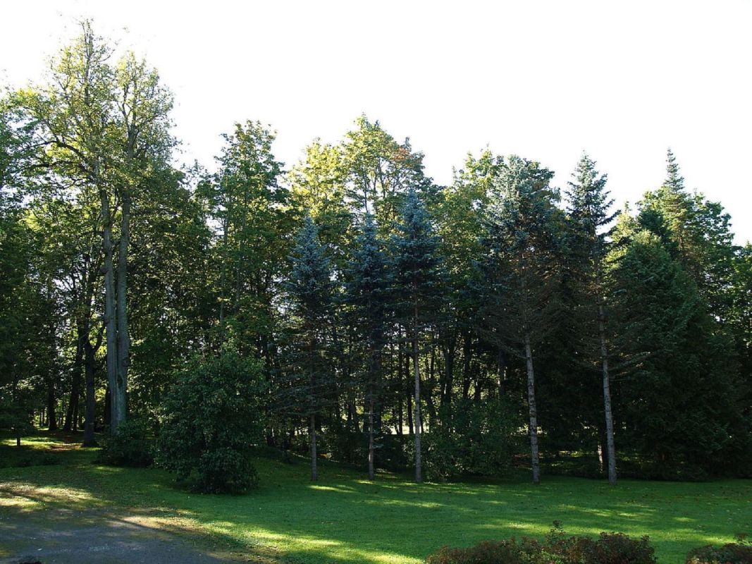 Парк Вана-Куусте