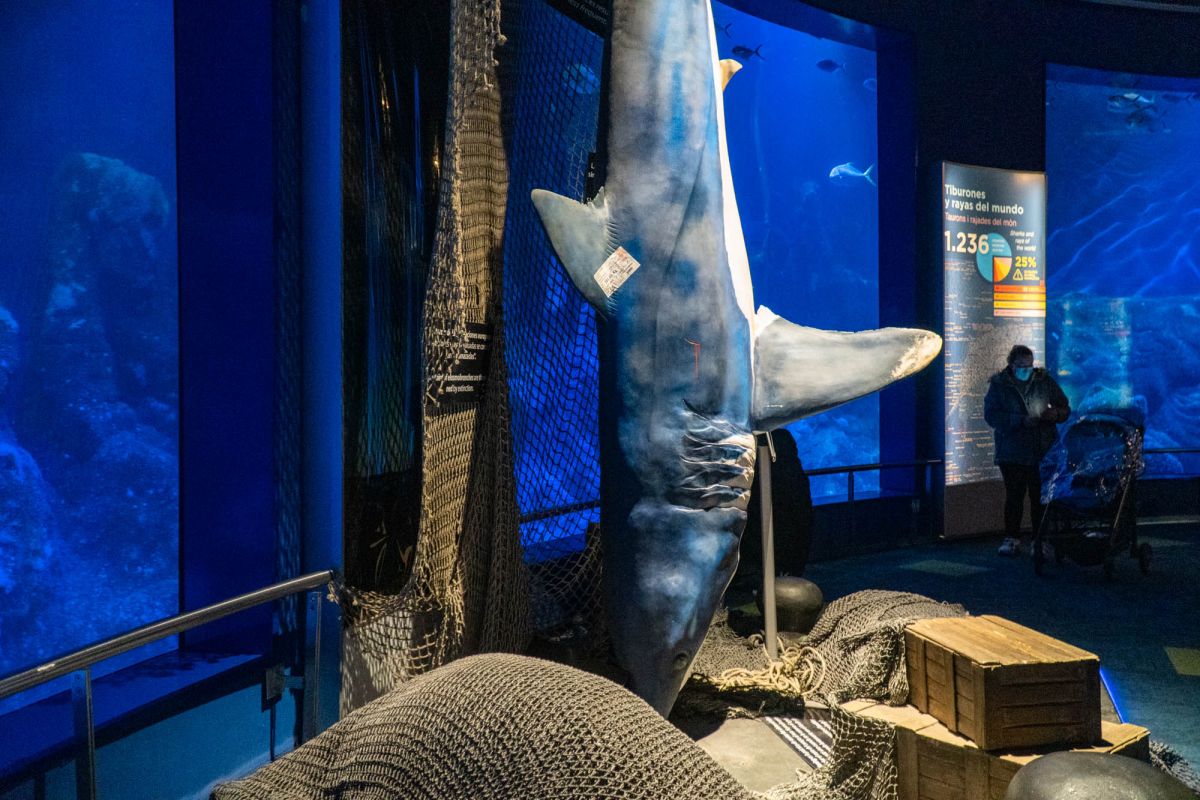 Океанографический парк Валенсии