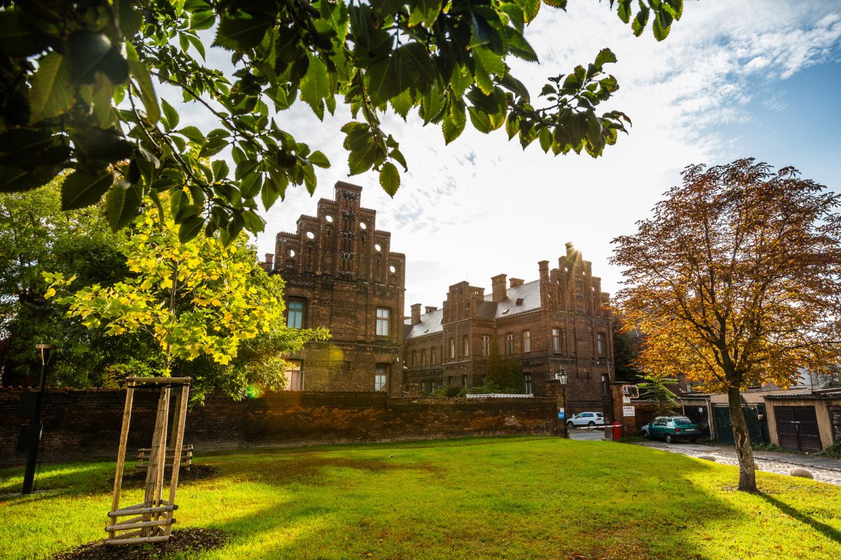 Областной роддом