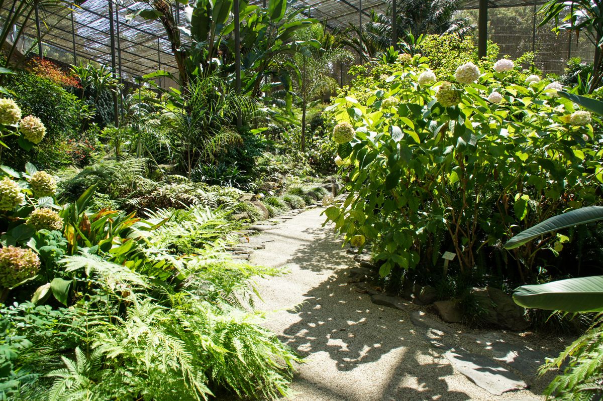 Парк Эдварда VII и Эстуфа Фриа 