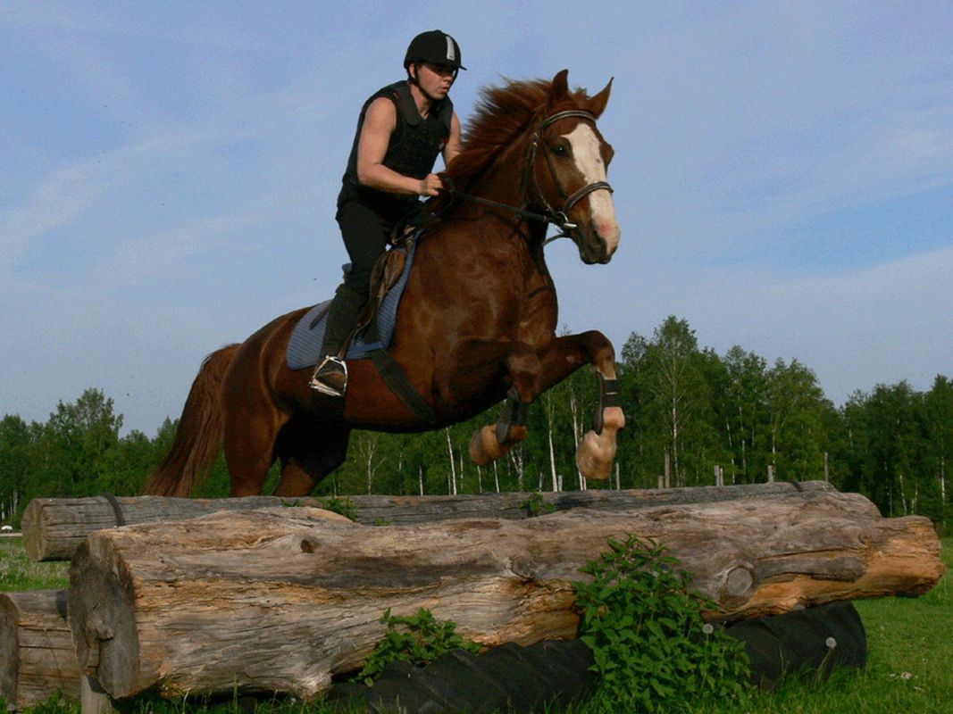 Хутор Сакса