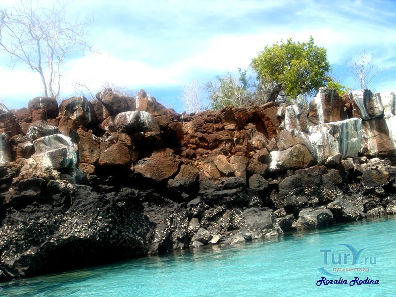 Побережье Punta Estrada