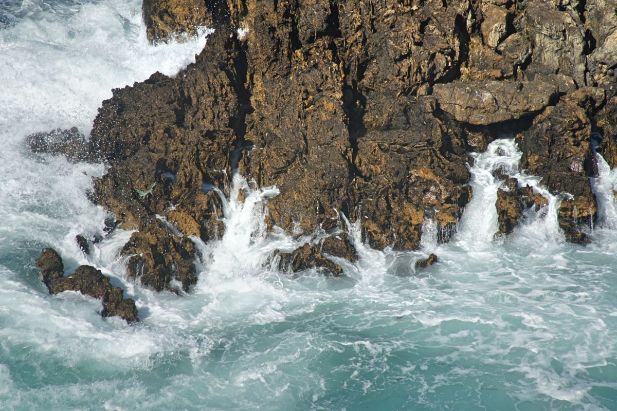 Камперван Дэй Парк