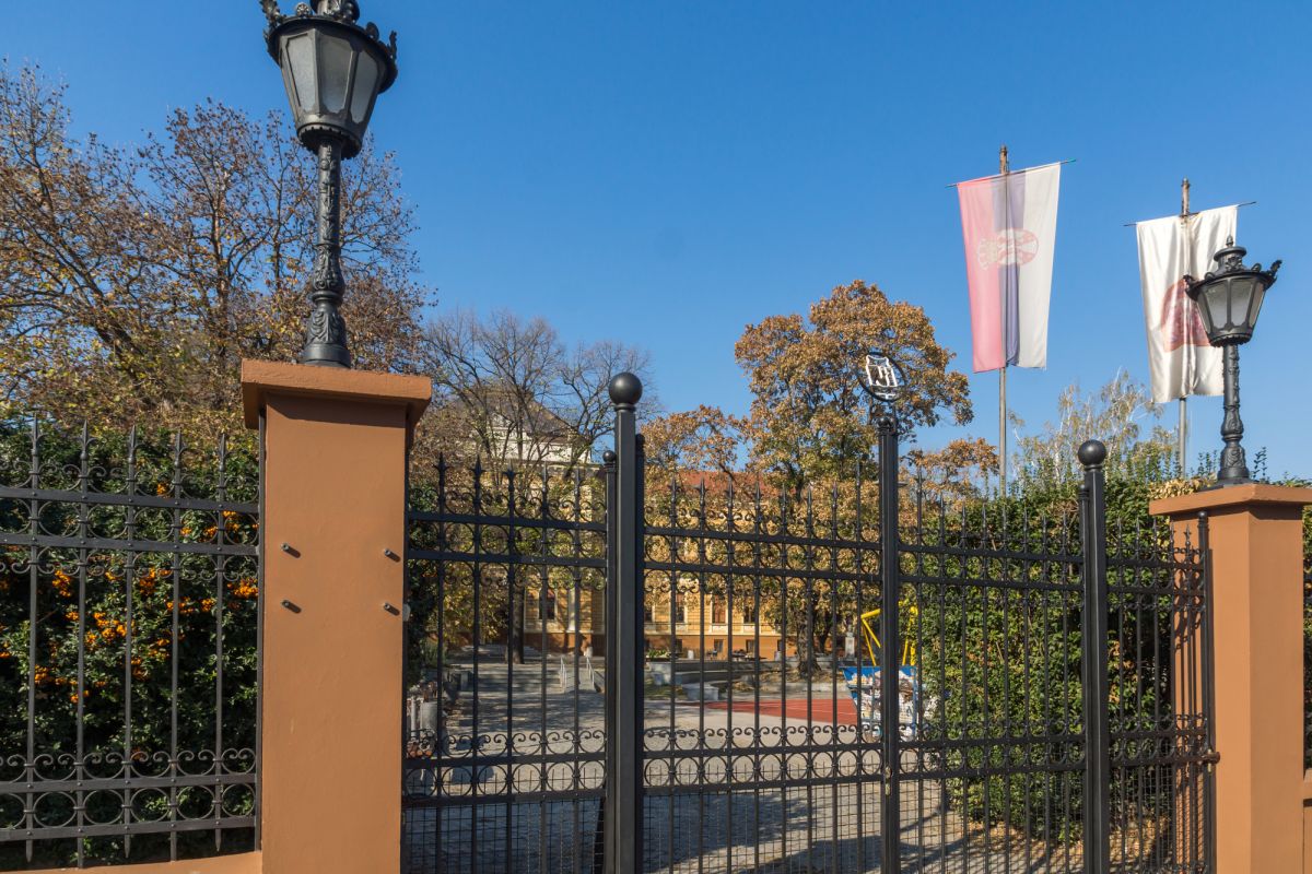 Гимназия «Йован Йованович Змай»