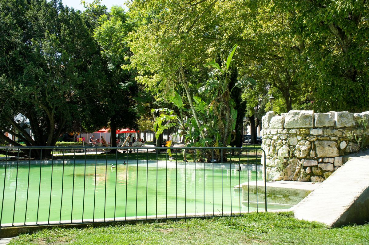 Жардим Браанкамп Фрейре