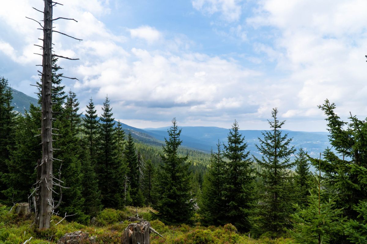Карконошеский национальный парк