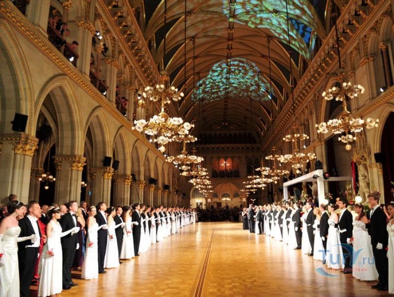 Венская Ратуша