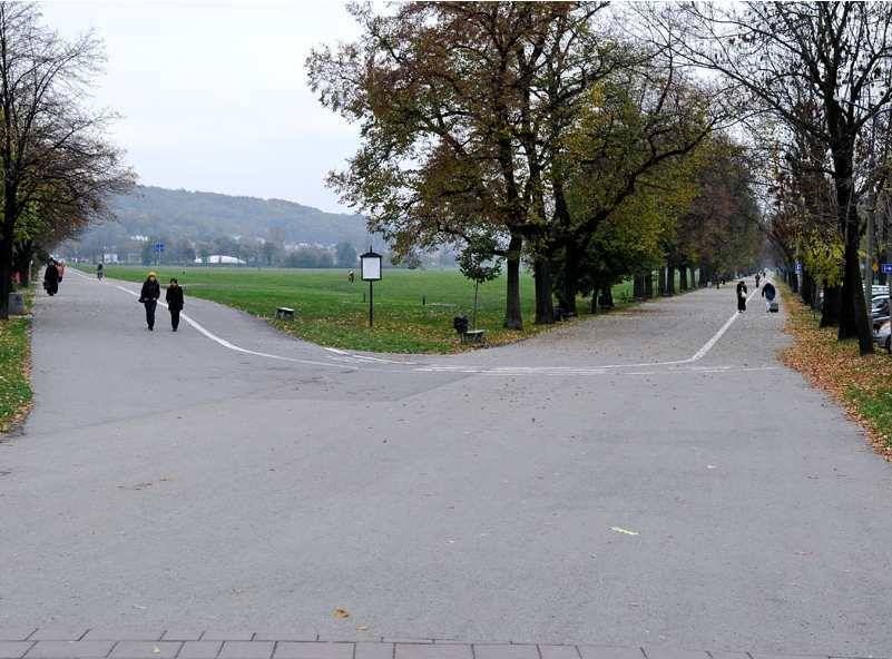 Блони (Краковский луг)