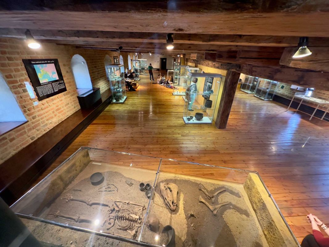 Вроцлавский археологический музей