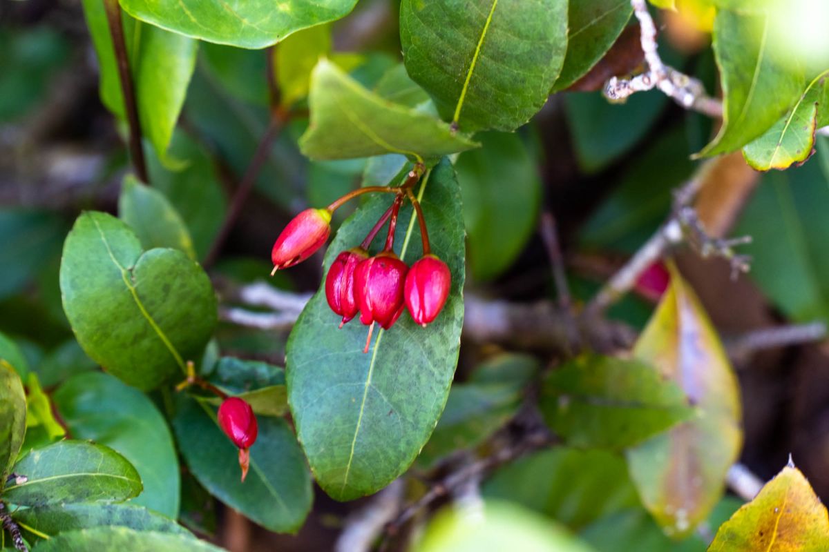 Гласис Ла Резерв Трейл