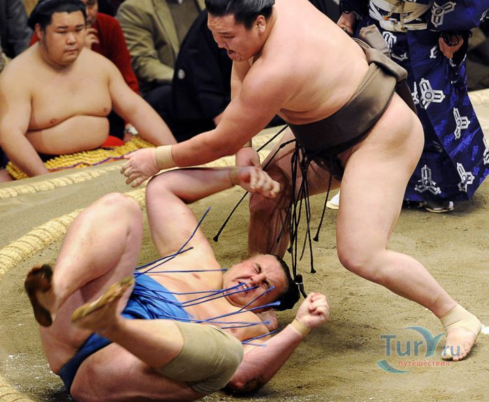 Спортивная арена сумо - Рюгоку Кокугикан