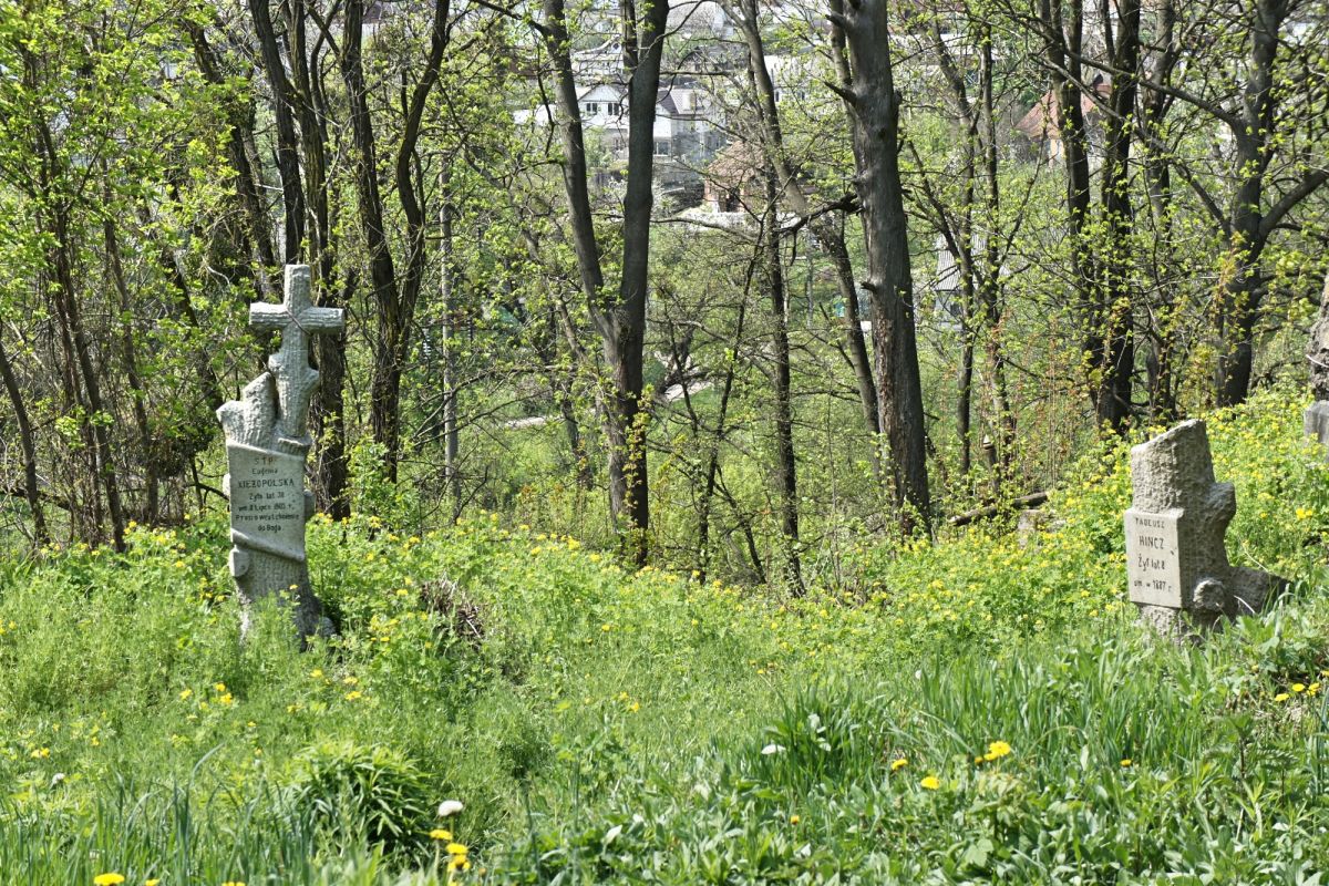 Польское кладбище