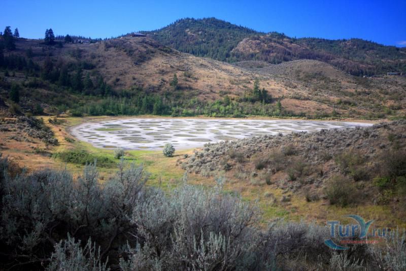 Пятнистое озеро