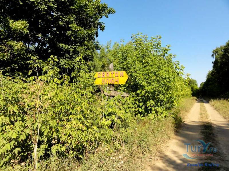 Национальный парк Нижняя Кама - Малый бор в Елабуге