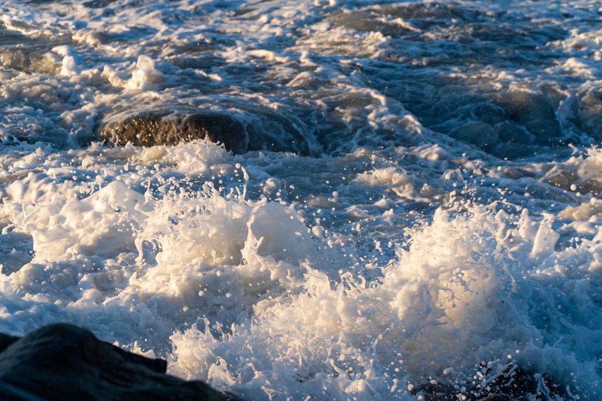 Приморский парк (Батумский бульвар)