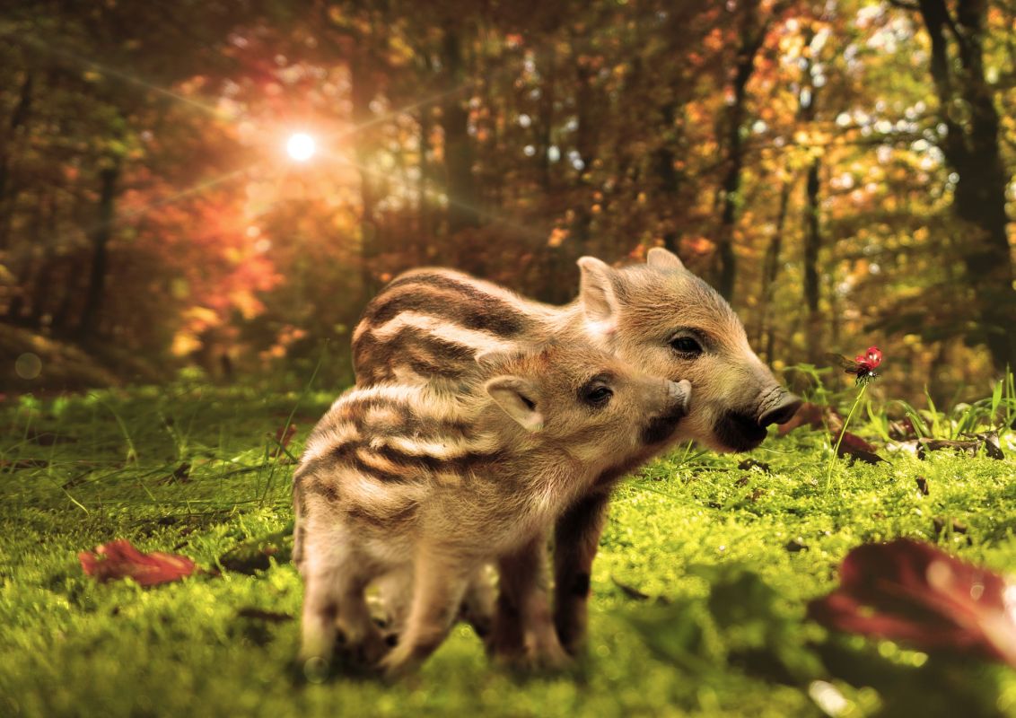 Соляные промыслы Капланова