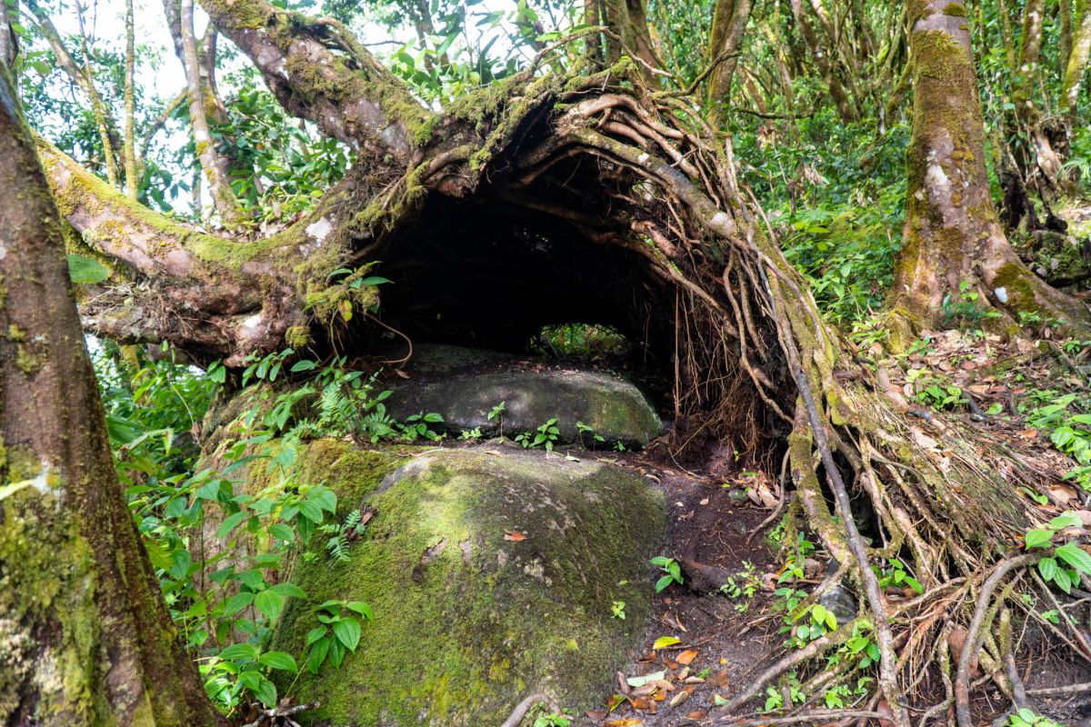 Национальный парк Морн Сейшелуа