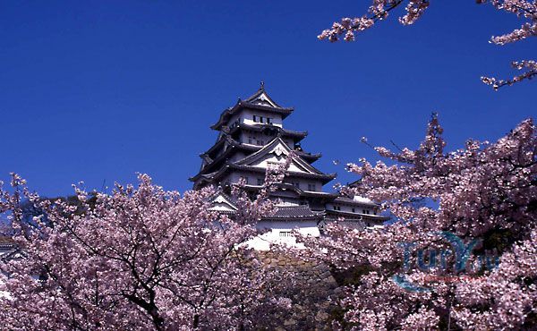 Замок Химэдзи