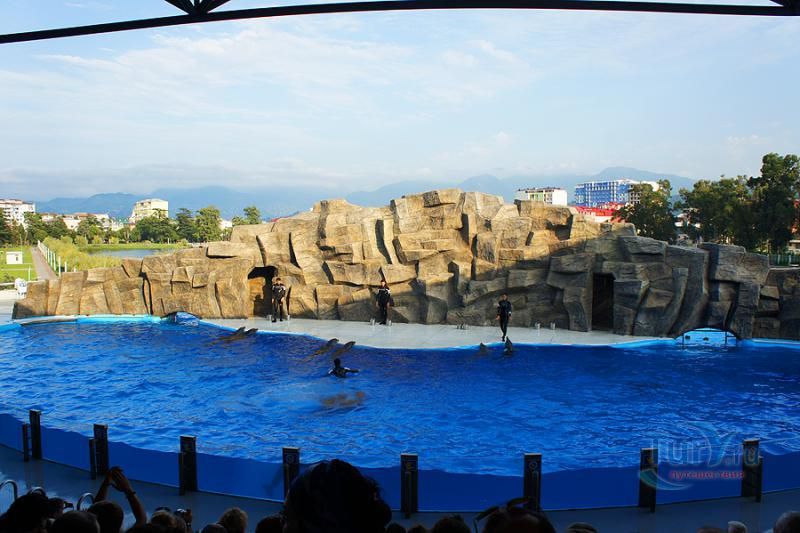 Дельфинарий в Батуми