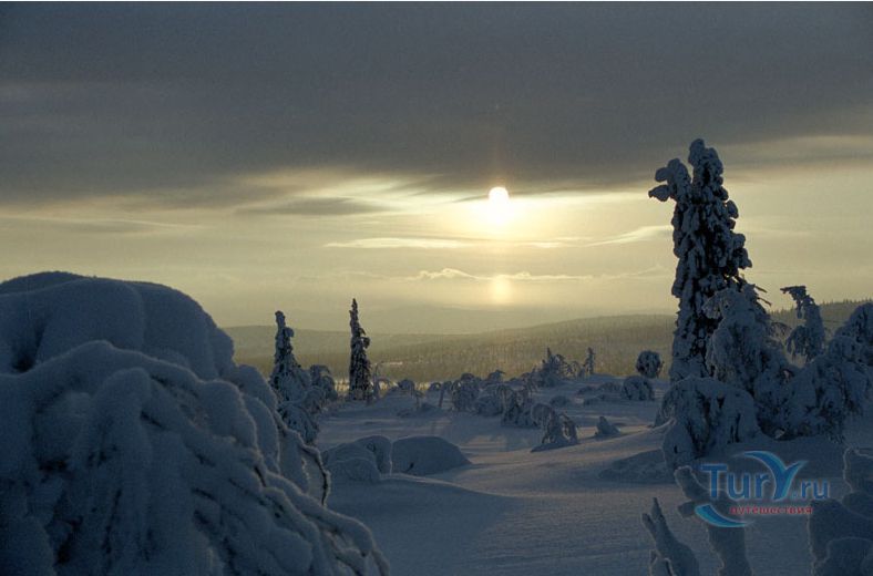 Лапландский заповедник