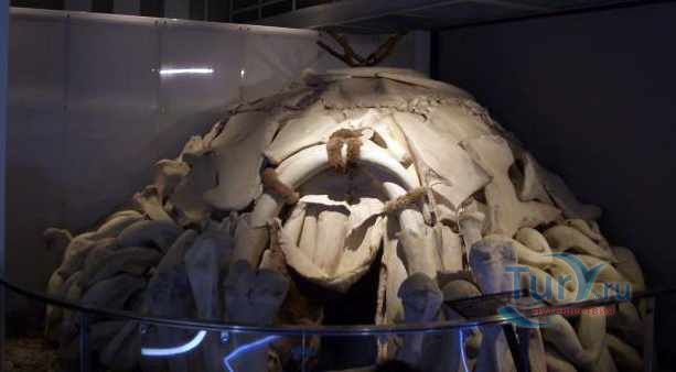 Национальный научный музей