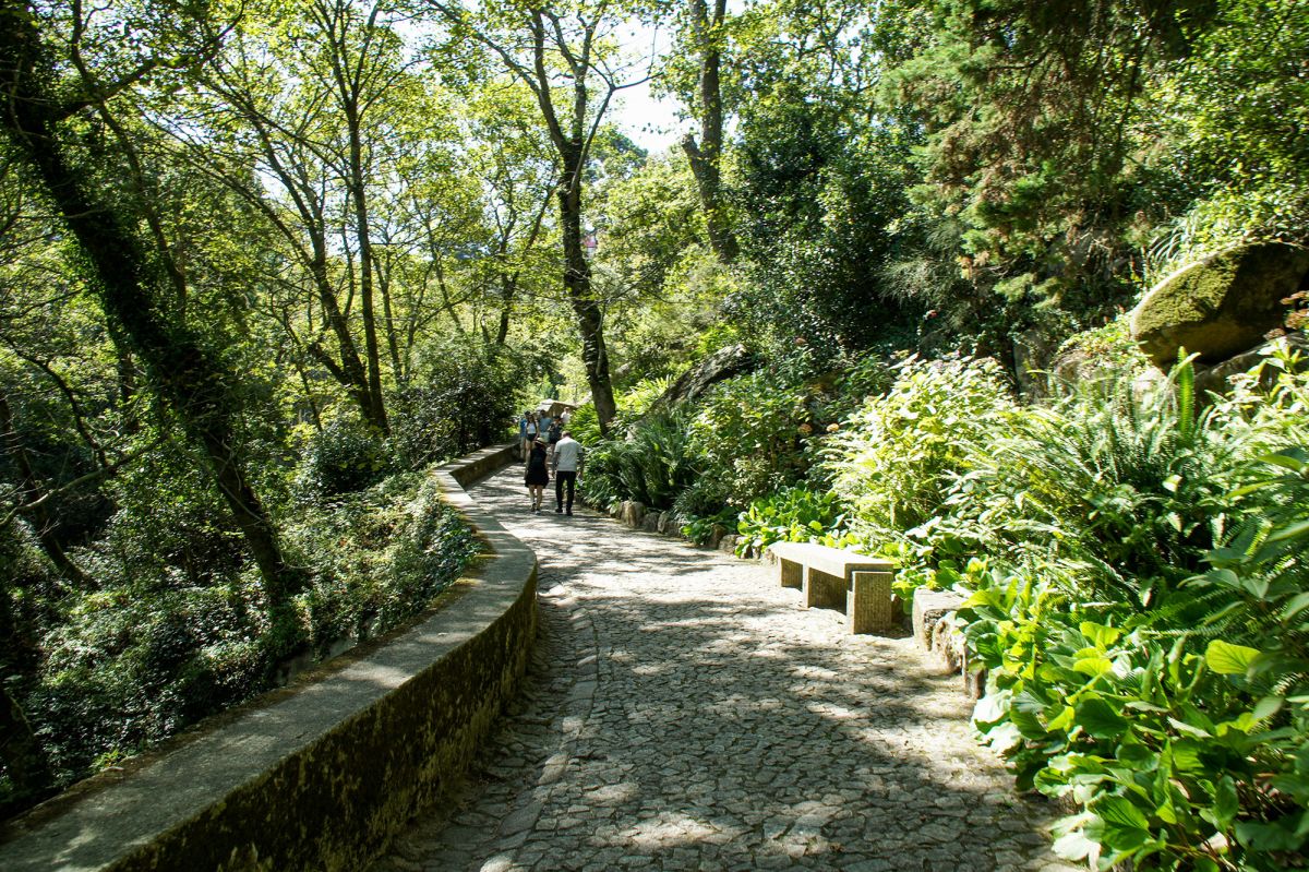 Ботанический сад Вале-дус-Лагуш-э-Патейра (Vale dos Lagos e Pateira)