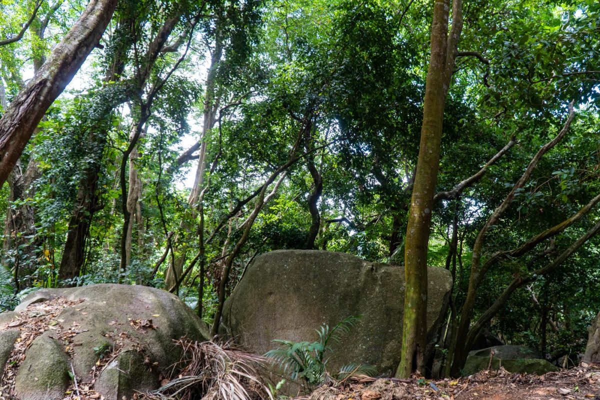 Тропа Анс Мажор