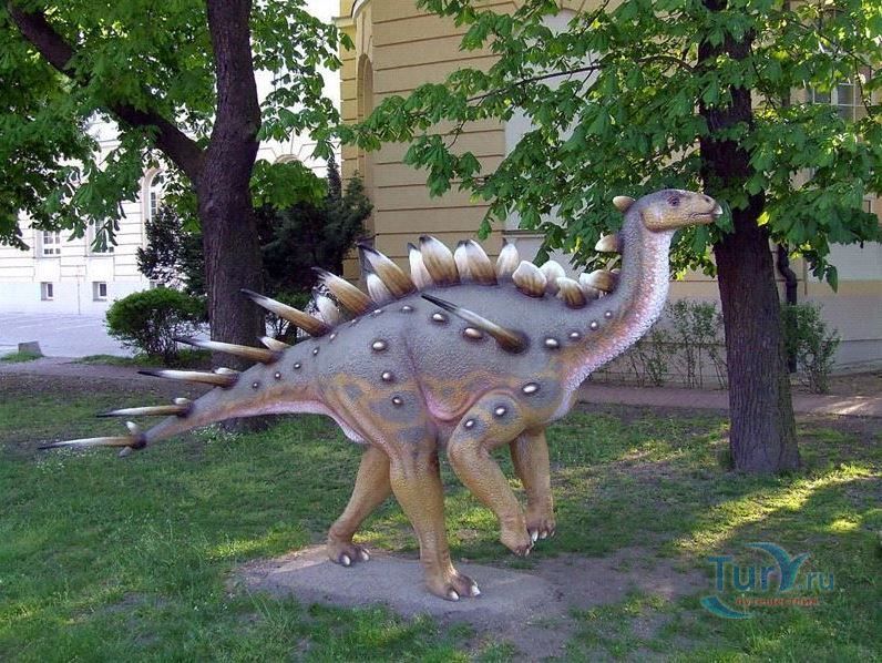 Геологический музей польского геологического института в Варшаве