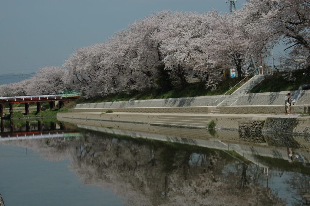 Набережная Маэкава