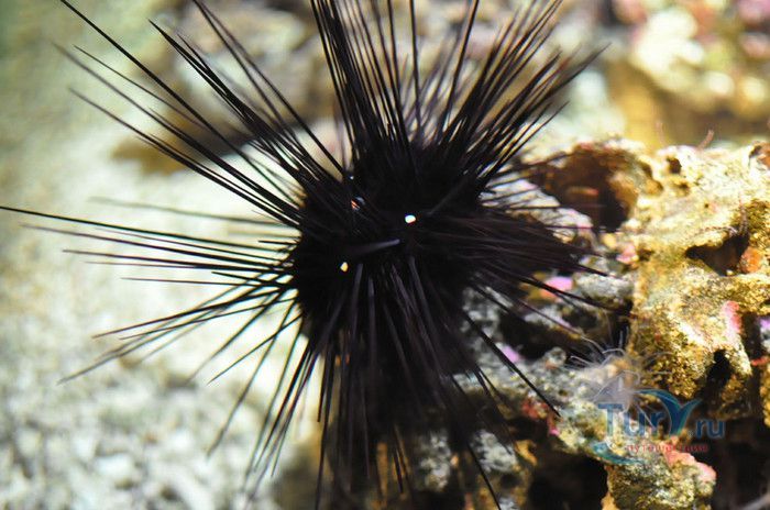 Музей Воды Аквариа