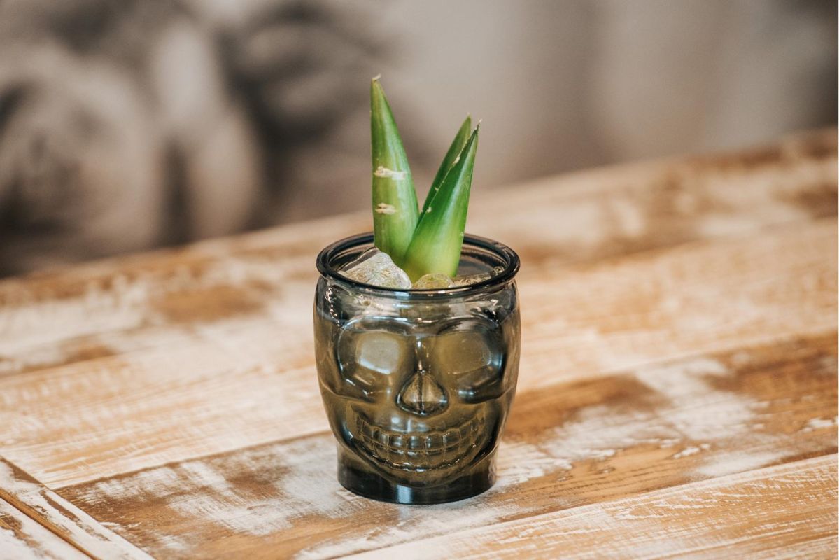 Ресторан Amarillo