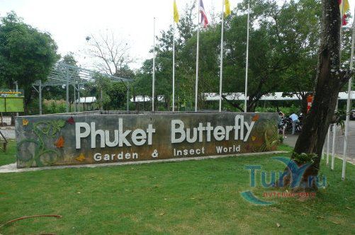 Парк бабочек