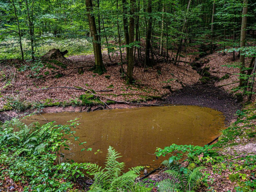 Природный заповедник Мораско Метеорит