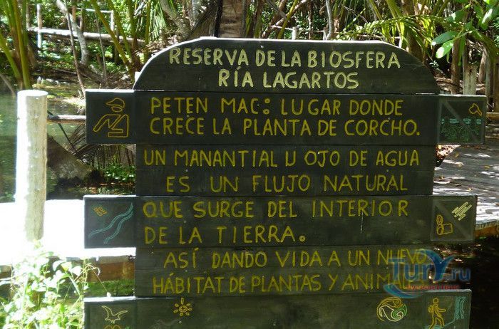 Биосферный Заповедник Риа Лагартос