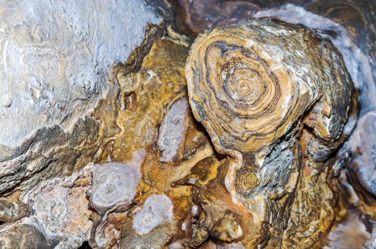 Пещера Холодная (Суук-Коба)