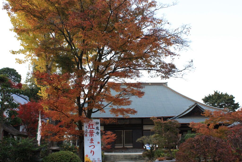 Храм Джинно-дзи