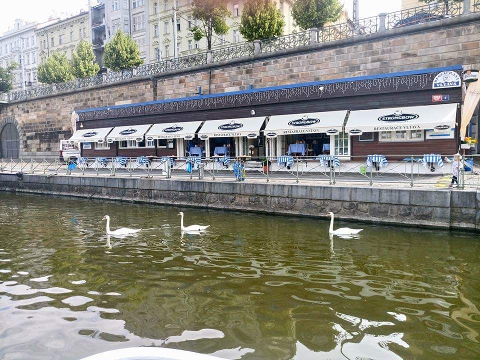 Ресторан Vltava