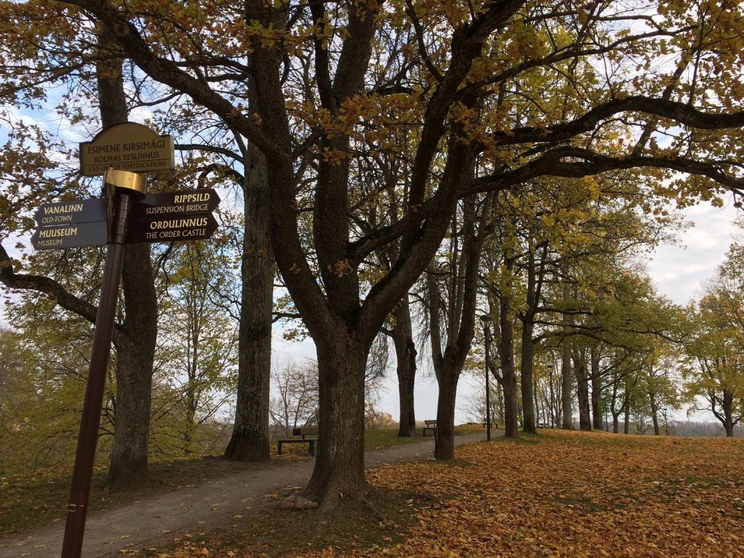 Вильяндиский замковый парк