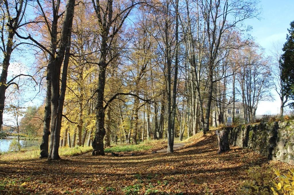 Мызный комплекс и парк Вяймела