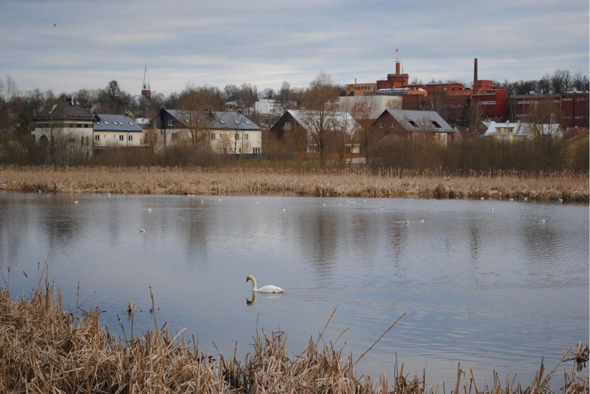 Супилинн – деревянный городок