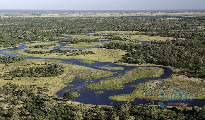 Болота Савути (Национальный Парк Чобе)