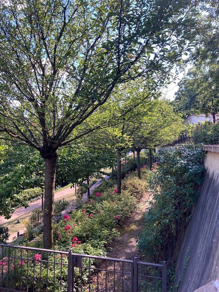 Большой Фюрстенбергский сад