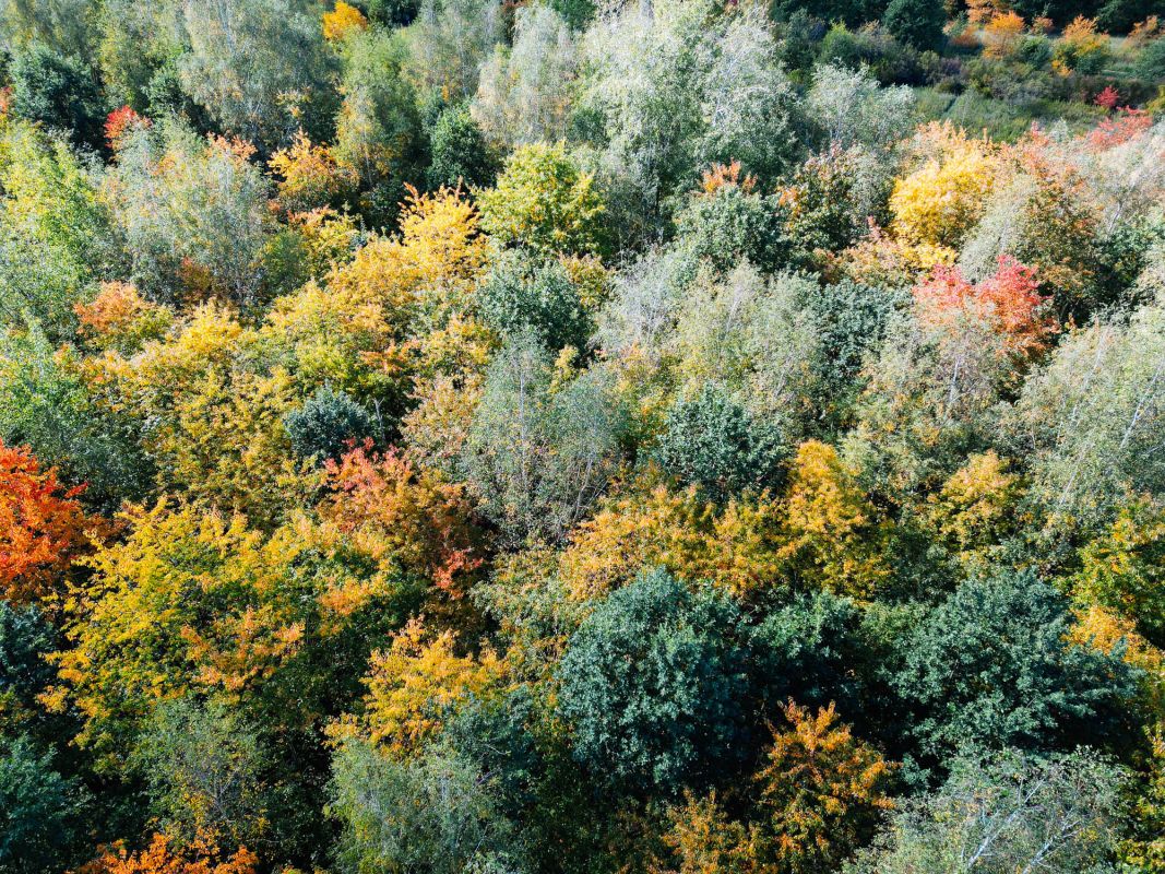 Парк Машлицкий