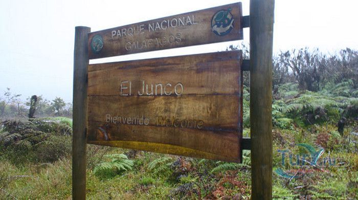 Лагуна Эль Юнко 