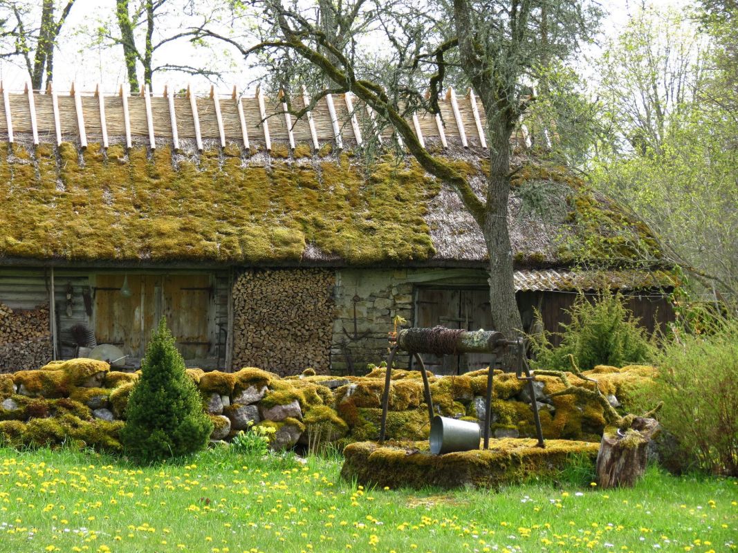 Остров Муху