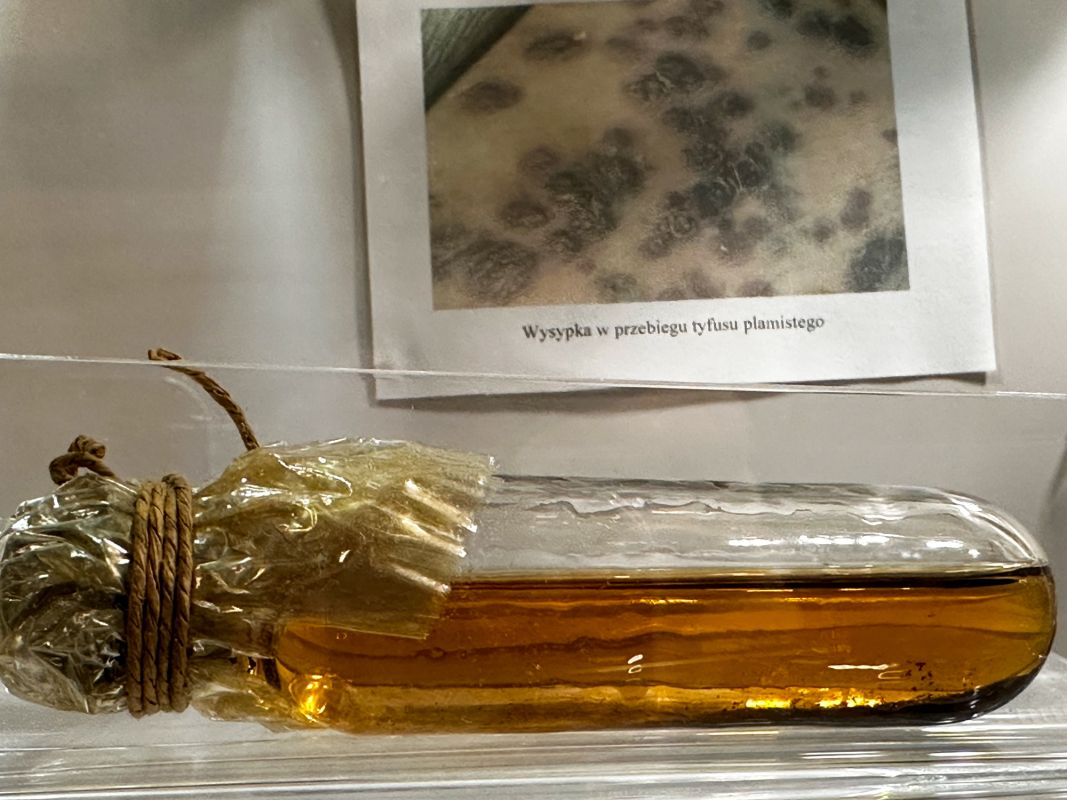 Аптекарский музей во Вроцлаве