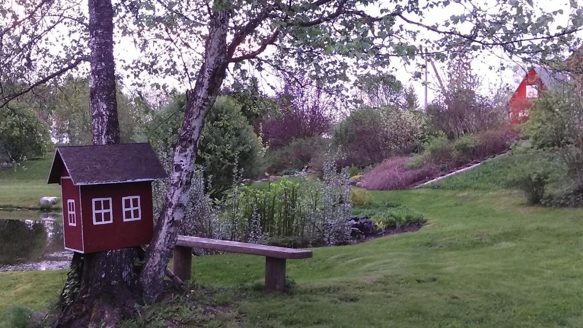 Сад на хуторе Микко