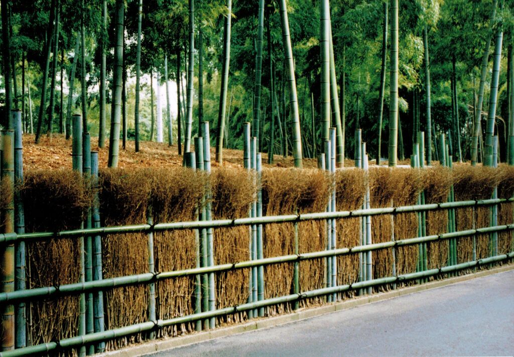 Такэ-но-Мичи (Бамбуковая тропа)